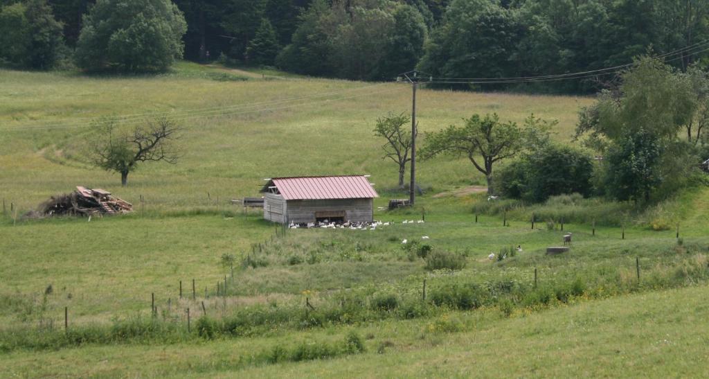 Gites Du Kreuzweg Le Hohwald Exterior photo